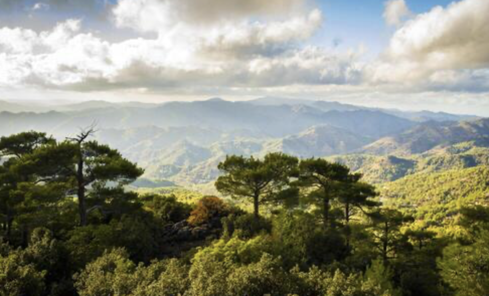 Cyprus: The Island of Micro-Climates