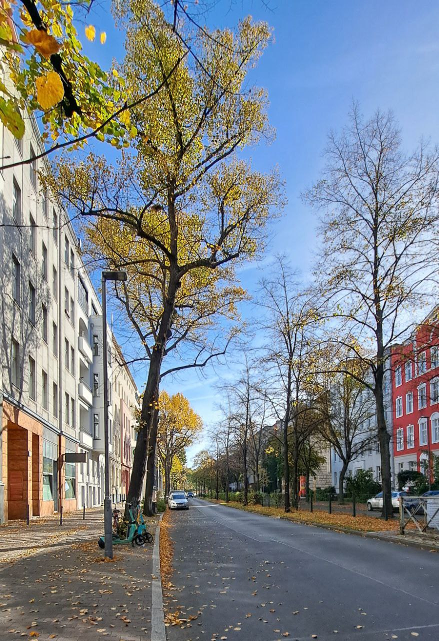 . 2-room apartment near Potsdamer Platz, self-use possible from 2027 - Photo 6