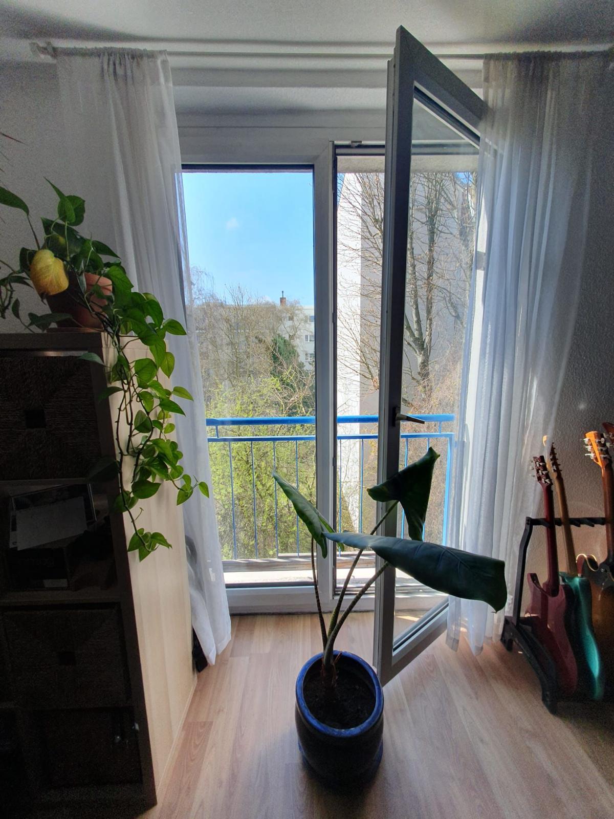 Geräumige 3-Zimmer-Wohnung in Kanalnähe in Neukölln, ab sofort bezugsfertig - Photo 6