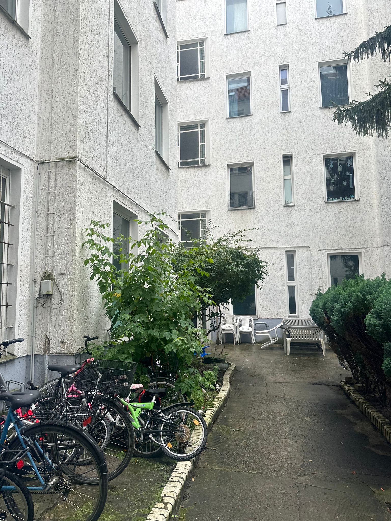 Bright 2-room apartment with potential in a quiet location in Neukölln, owner-occupancy possible - Photo 10