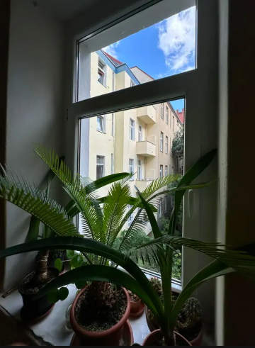 Kompakte 1-Zimmer-Wohnung in Berlin-Kreuzberg - Ideal zur Eigennutzung