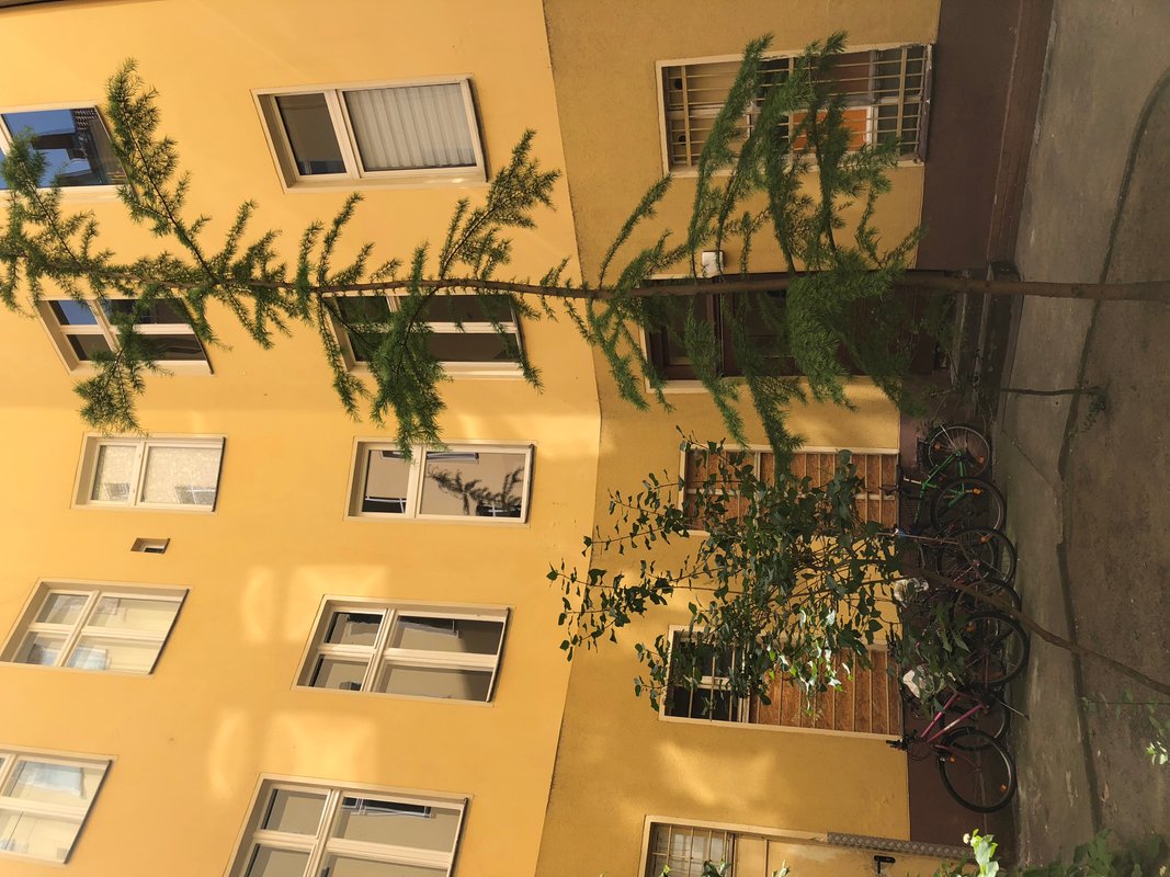 Renovated 1-Room Altbau Apartment – Eisenacher Straße, Schöneberg - Photo 4