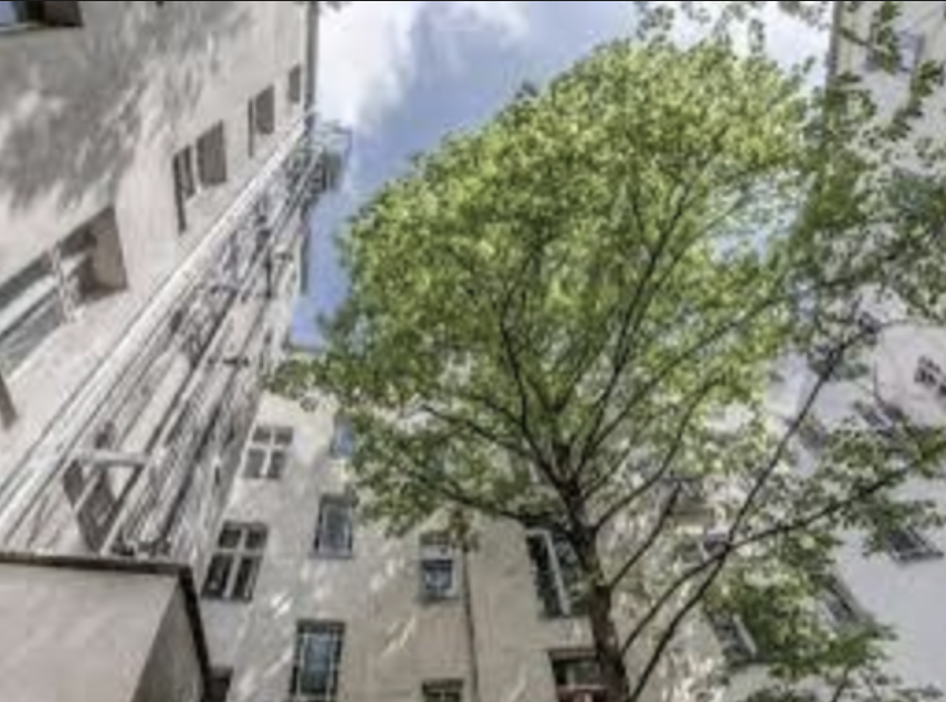 Rented - 1 Room Investment Opportunity in Friedrichshain - Photo 4